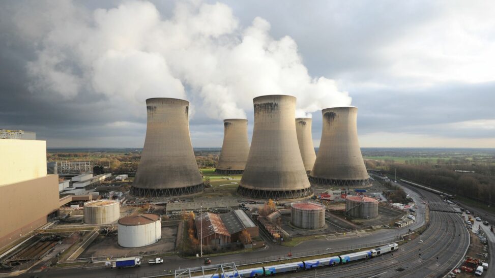 Energy giant investigated over wood sourcing after whistleblower claims