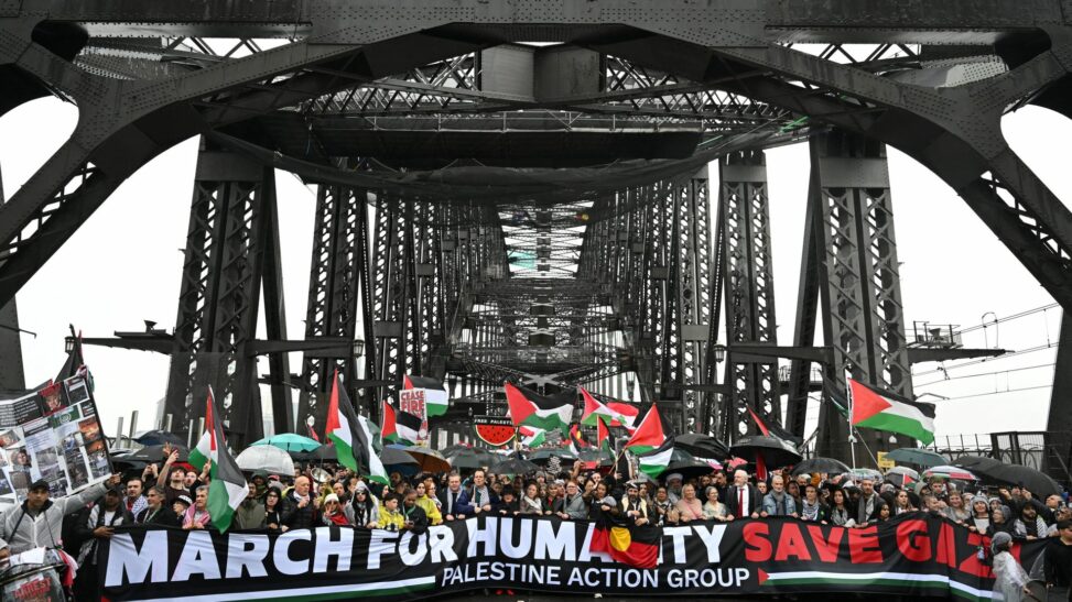 Sydney harbour bridge pro palestine protest so busy it was 'perilous', police chief says