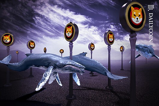 3t shib snagged by coinbase whale: one shot or hot trend?