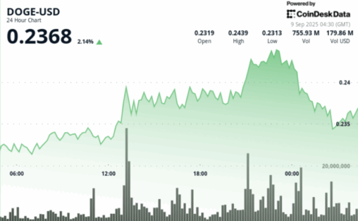 Doge price action shows 5.7% swing as traders eye 25 cents target