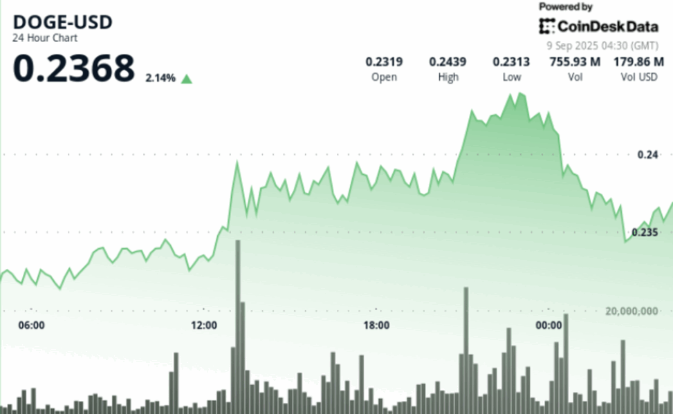 Doge price action shows 5.7% swing as traders eye 25 cents target
