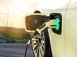 How sustainable are evs and why is the government only offering grants to 'truly green' electric cars?