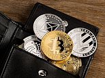 Should i hold my £8,000 of bitcoin on a trading platform or in a crypto wallet?