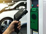 Charger shortage hitting electric vehicle sales