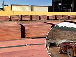 Small cap idea: there is more to tertiary minerals than meets the eye