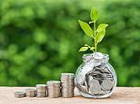 Fidelity launches up to £2,000 sipp cashback offer could it boost your pension pot?