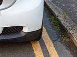 Half of drivers say illegal parking on double yellow lines is 'significant problem' where they live