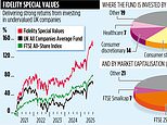 Fidelity special values: playing the waiting game nets big returns from undervalued stocks