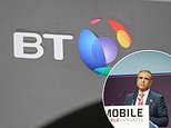 Bt adds billionaire to its board under new deal with major shareholder