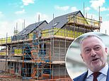 Britain's biggest housebuilder: government must back first time buyers