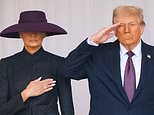 Powell's peace offering will not satisfy trump or his acolytes, says alex brummer