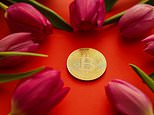 Beware the crypto scammers: it looks like 17th century tulip bulb mania all over again, warns alex brummer