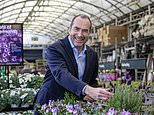 Kingfisher shares rocket as 'resilient' uk consumer lifts bbq owner
