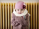 At last! new energy tariffs that will help pensioners cut their bills by slashing standing charges
