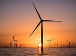 Orsted gets green light to complete u.s. windfarm as judge overrules trump block