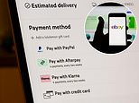 Concerns raised over ebay offering discounts to shoppers who buy now, pay later with klarna