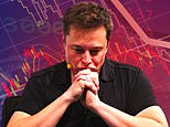 Car crash for musk as tesla sales plunge despite demand for electric cars revving up
