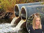 South west water owner hails 'strong return to profitability' as household bills rise
