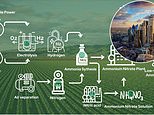 Small cap movers: turning water and air into zero carbon fertiliser