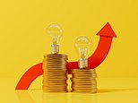 Energy price cap should be scrapped to bring bills down, say industry experts