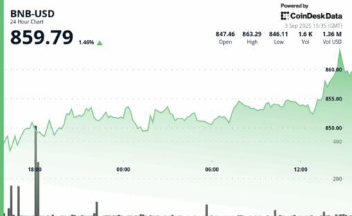 Bnb gains 1.5% as corporate accumulation eyes larger share of supply