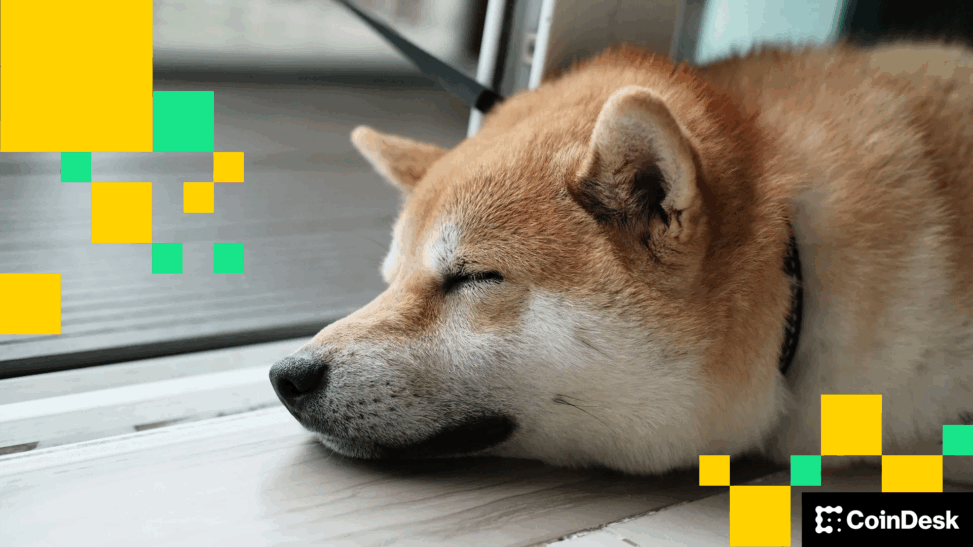Memecoins under pressure as shib, dogecoin slide after shibarium loses $2.4m in hack