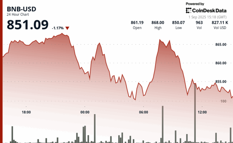 Bnb slips below $860 as traders brace for u.s. jobs data