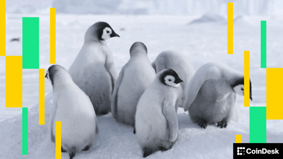 Crypto markets today: bitcoin pulls back, pengu open interest surges