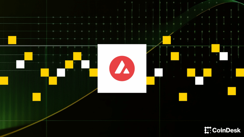 Avalanche foundation eyes $1b raise to fund two crypto treasury companies: ft
