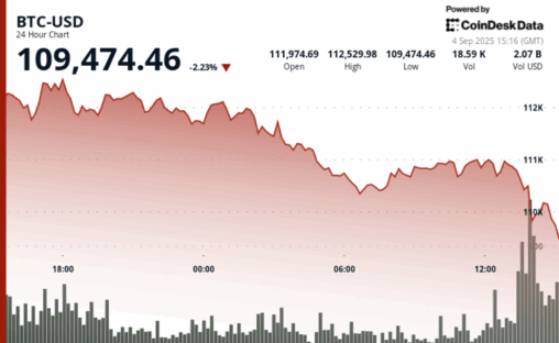 Bitcoin slips below $110k as analysts weigh risk of deeper pullback