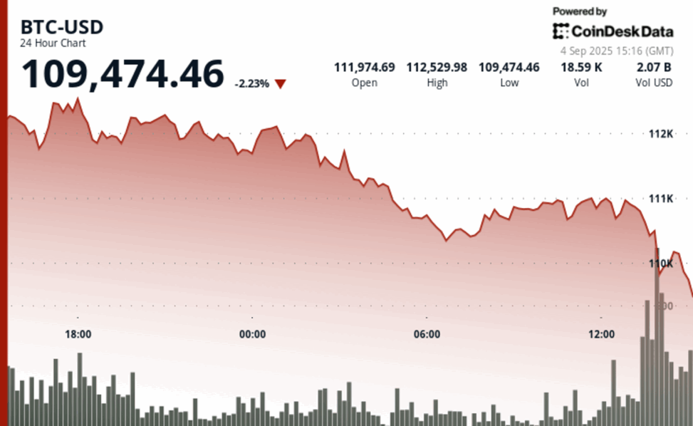 Bitcoin slips below $110k as analysts weigh risk of deeper pullback