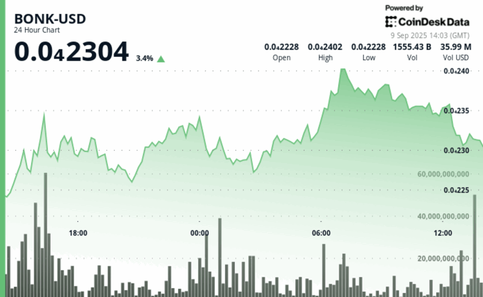Bonk surges 9% as even as memecoin interest shifts to newer tokens