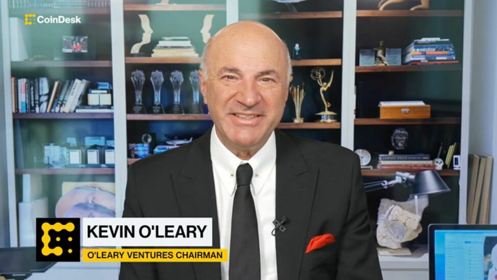 'nfts turned out to be a fad,’ says kevin o’leary as he buys $13m collectible card