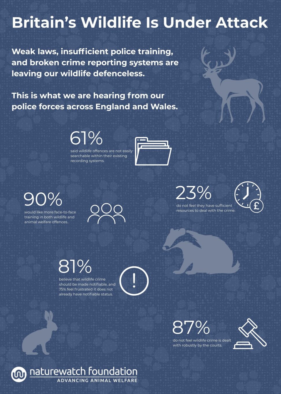 Wildlife crime is being overlooked on national scale, reveals new report from naturewatch foundation