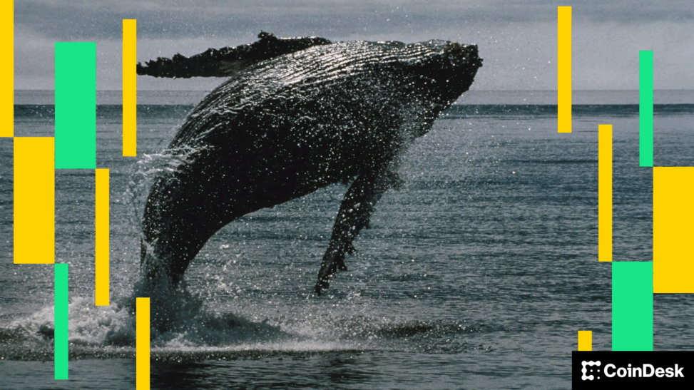Ether whale books $45m loss as eth falls below $4k