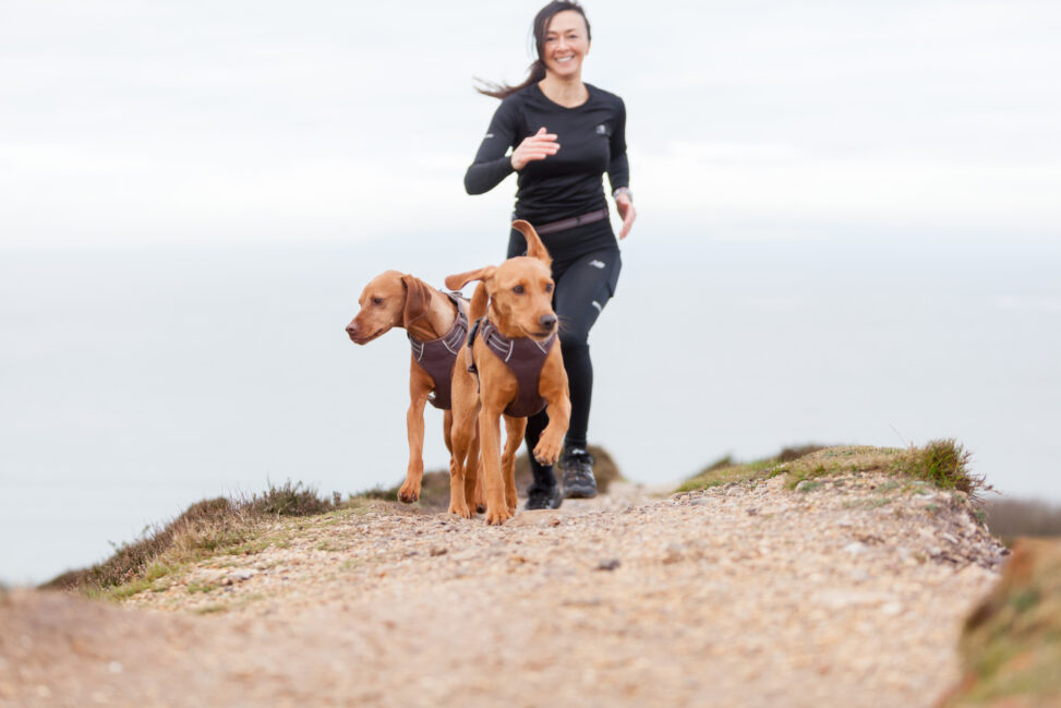 Don't pause those paws! the uk's first national #runwithyourdogday launches october 4th 2025