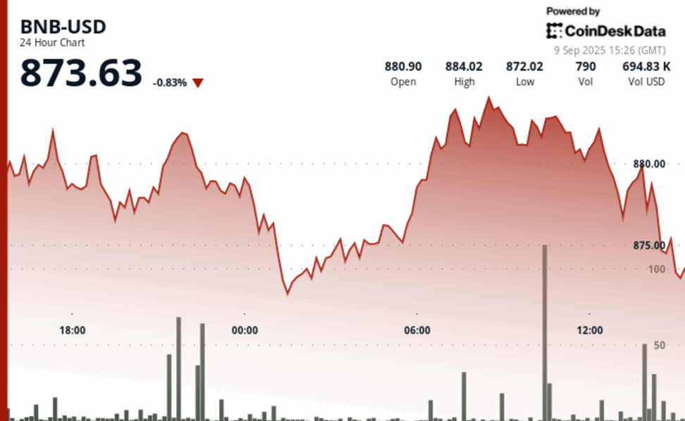 Bnb price rise to $884 short lived as market sell off cuts gains