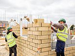 'more needs to be done' on planning rules if government wants to hit home building target, mj gleeson boss warns