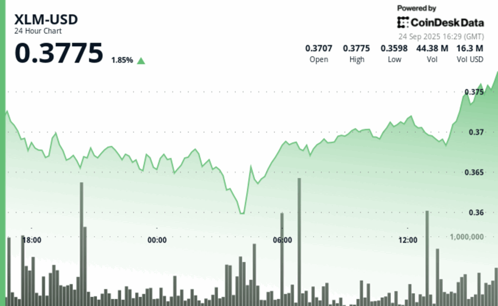 Xlm consolidates after sharp decline, testing key support levels