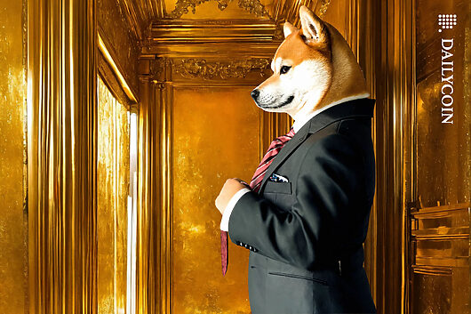 Dogecoin turns into tdog on etf listing: price to boom?