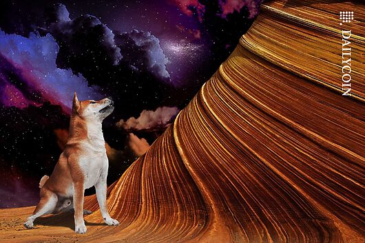 Shiba inu’s liquidity crunch: price pump or peril ahead?