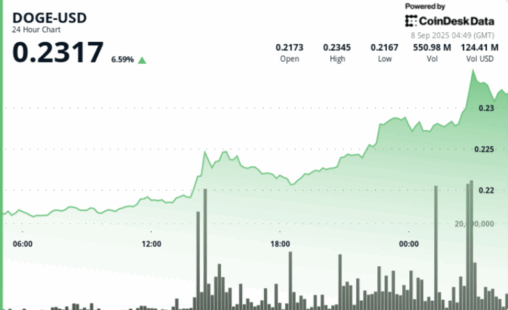 Doge price action builds higher lows while resistance holds