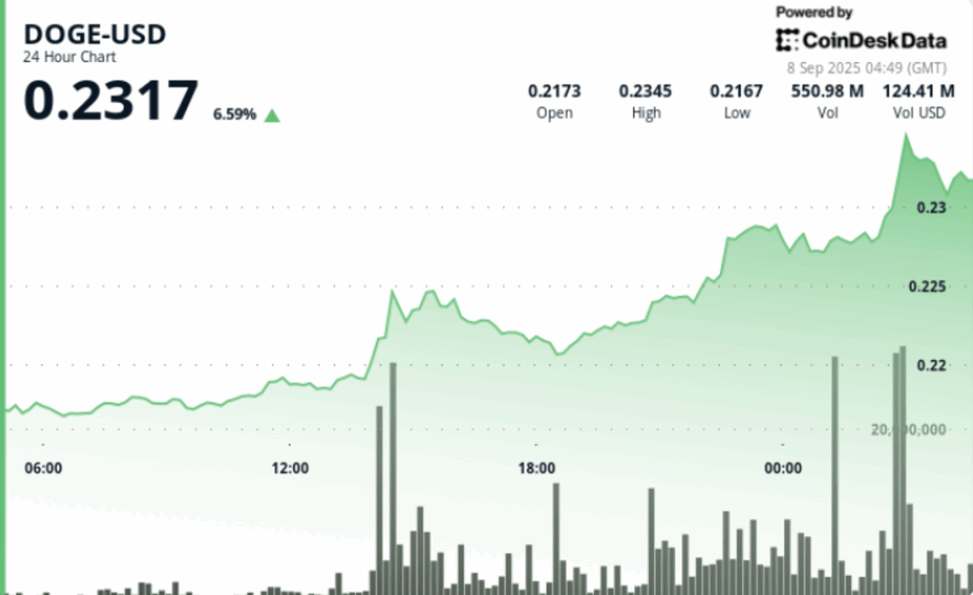 Doge price action builds higher lows while resistance holds