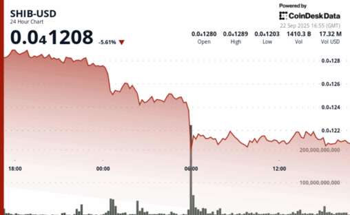 Shiba inu tanks 5%, shib doge bounces from record lows