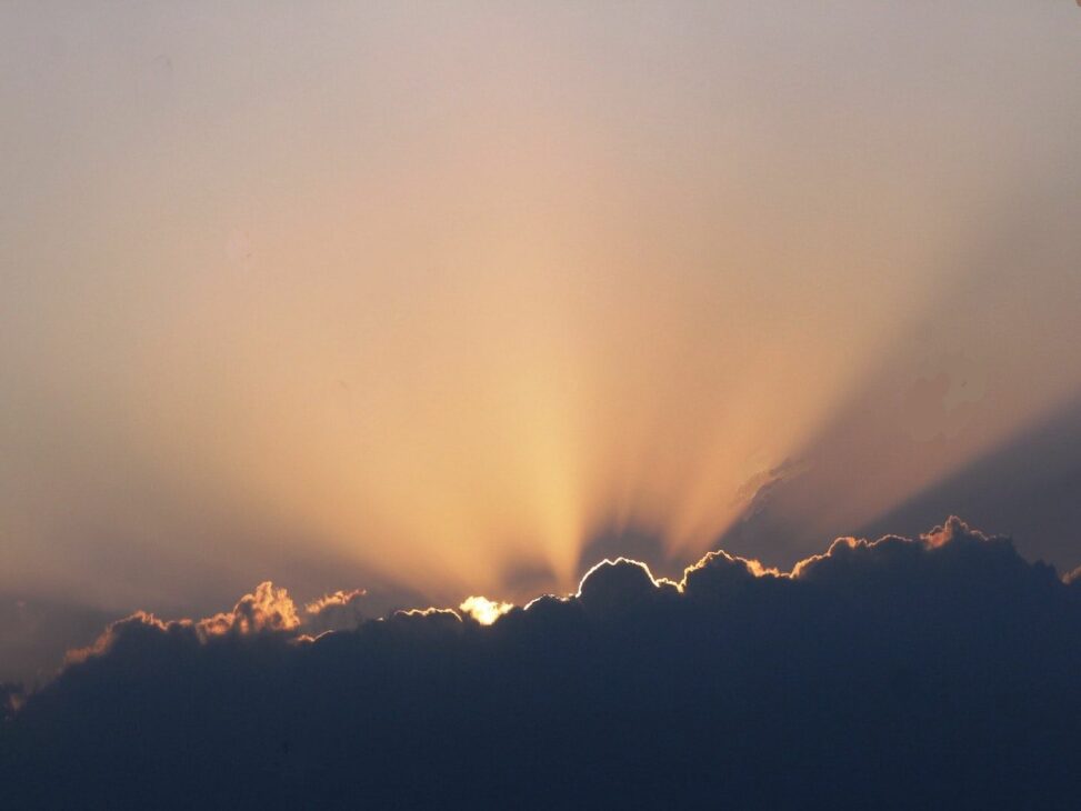 Crypto markets today: ip token surges on corporate treasury adoption