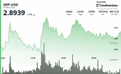 Xrp holds above $2.90 as etf decisions loom