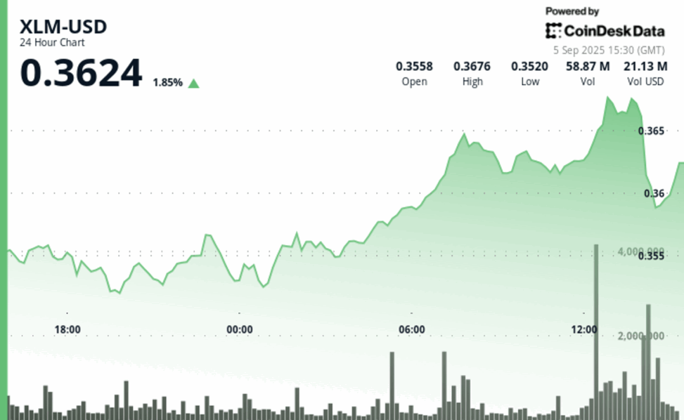 Xlm surges 5% before dramatic final hour collapse