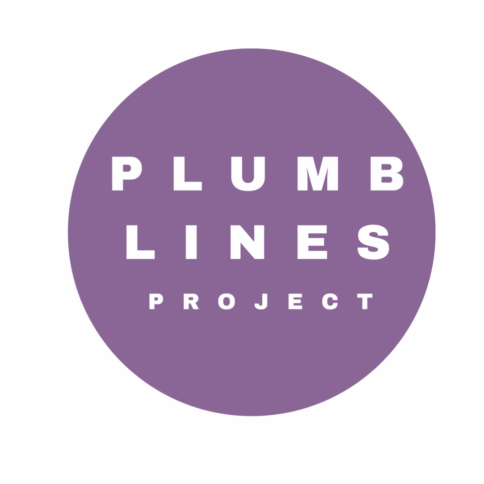 Lapidus international publishing launches with poetry anthology celebrating marginalised voices