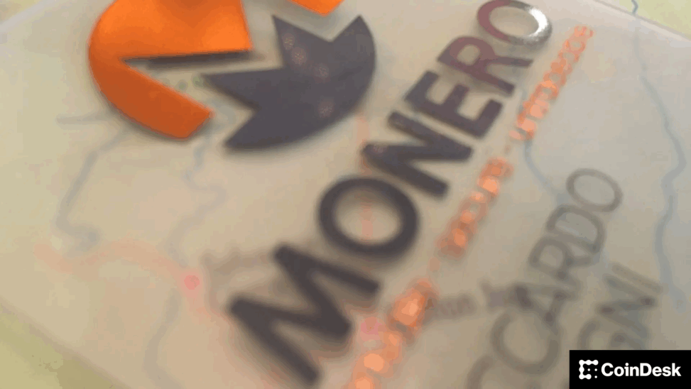 Crypto markets today: xmr rallies despite 18 block reorg
