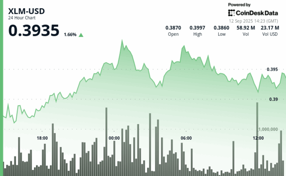 Xlm holds ground amid market volatility as payment sector rivalry heats up